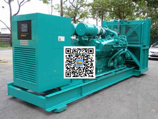 兴和租赁发电机-康明斯发电机性价比还是比较高的